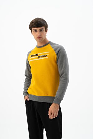 Arma Erkek Büyük Beden Bisiklet Yaka Sweatshirt 
