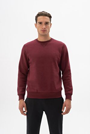 Arma Erkek Regular Fit Bisiklet Yaka Sweatshirt 