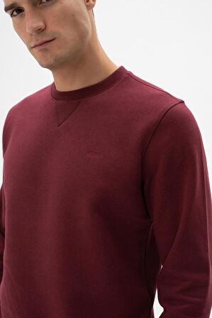 Arma Erkek Regular Fit Bisiklet Yaka Sweatshirt 