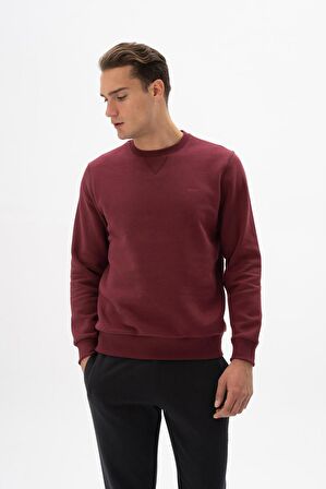 Arma Erkek Regular Fit Bisiklet Yaka Sweatshirt 
