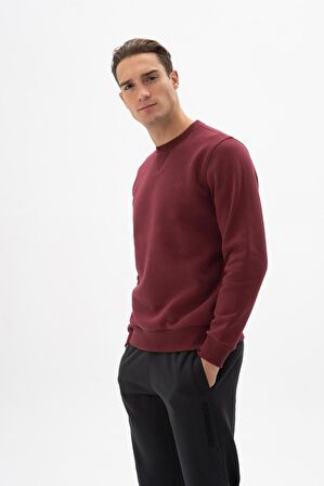 Arma Erkek Regular Fit Bisiklet Yaka Sweatshirt 