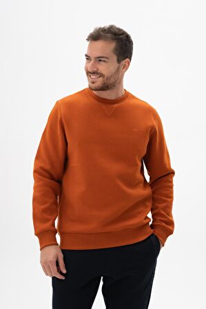 Arma Erkek Regular Fit Bisiklet Yaka Sweatshirt 