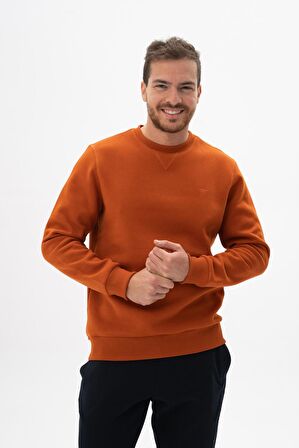Arma Erkek Regular Fit Bisiklet Yaka Sweatshirt 
