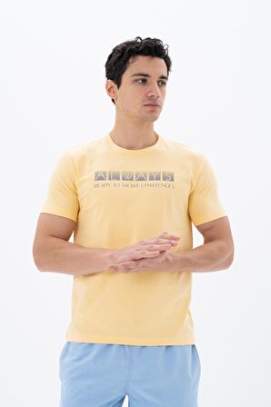 Arma Erkek Slim Fit Bisiklet Yaka Tişört 