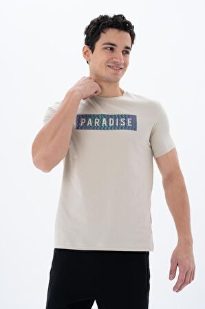 Arma Erkek Slim Fit Bisiklet Yaka Tişört 
