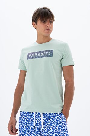 Arma Erkek Slim Fit Bisiklet Yaka Tişört 