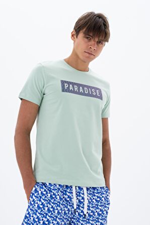 Arma Erkek Slim Fit Bisiklet Yaka Tişört 