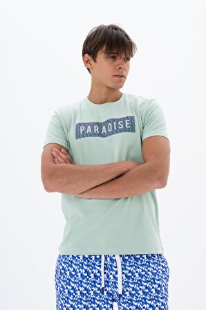Arma Erkek Slim Fit Bisiklet Yaka Tişört 