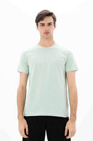 Arma Erkek Slim Fit Bisiklet Yaka Tişört 