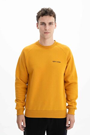 Arma Erkek Regular Fit Bisiklet Yaka Sweatshirt 