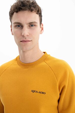 Arma Erkek Regular Fit Bisiklet Yaka Sweatshirt 