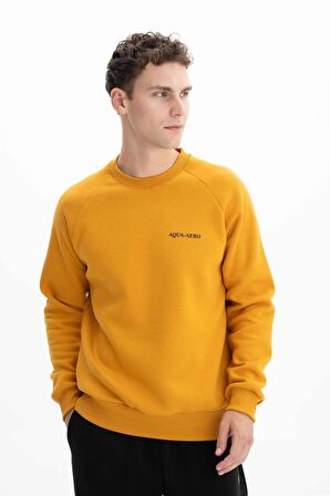 Arma Erkek Regular Fit Bisiklet Yaka Sweatshirt 