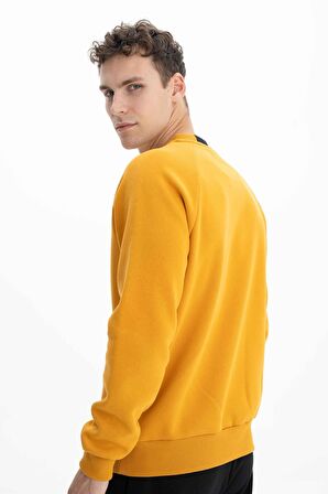 Arma Erkek Regular Fit Bisiklet Yaka Sweatshirt 
