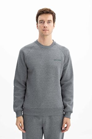 Arma Erkek Regular Fit Bisiklet Yaka Sweatshirt 