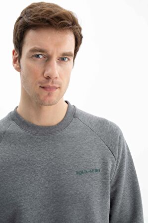 Arma Erkek Regular Fit Bisiklet Yaka Sweatshirt 