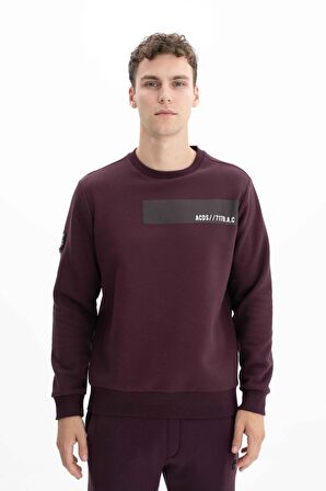 Arma Erkek Regular Fit Bisiklet Yaka Sweatshirt 