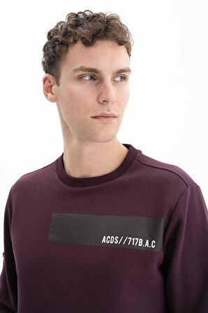 Arma Erkek Regular Fit Bisiklet Yaka Sweatshirt 