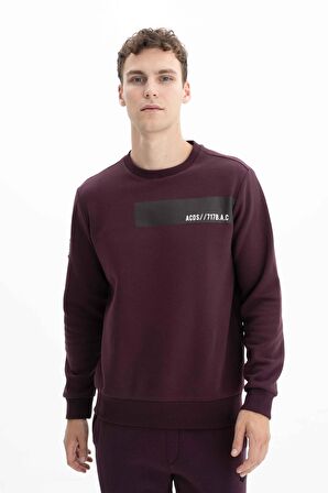 Arma Erkek Regular Fit Bisiklet Yaka Sweatshirt 