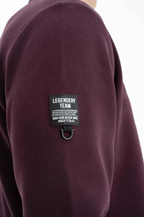 Arma Erkek Regular Fit Bisiklet Yaka Sweatshirt 