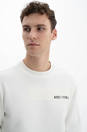 Arma Erkek Regular Fit Bisiklet Yaka Sweatshirt 