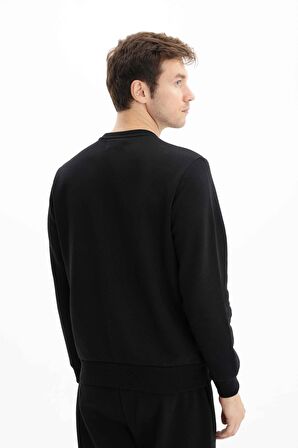 Arma Erkek Regular Fit Bisiklet Yaka Sweatshirt 