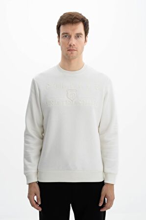 Arma Erkek Regular Fit Bisiklet Yaka Sweatshirt 