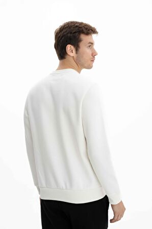 Arma Erkek Regular Fit Bisiklet Yaka Sweatshirt 