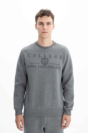 Arma Erkek Regular Fit Bisiklet Yaka Sweatshirt 