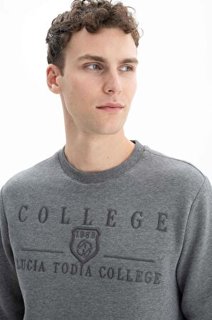 Arma Erkek Regular Fit Bisiklet Yaka Sweatshirt 