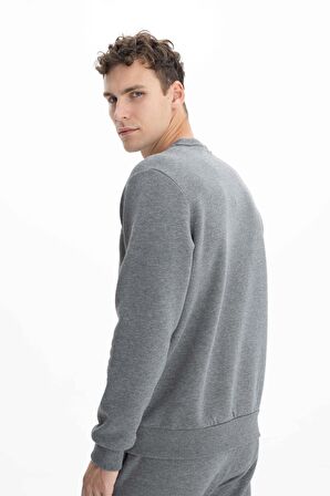 Arma Erkek Regular Fit Bisiklet Yaka Sweatshirt 