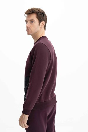 Arma Erkek Regular Fit Fermuarlı Yan Cepli Bisiklet Yaka Sweatshirt 