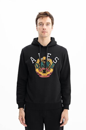 Arma Erkek Regular Fit Cepsiz Kapşonlu Sweatshirt 