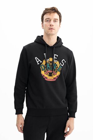 Arma Erkek Regular Fit Cepsiz Kapşonlu Sweatshirt 