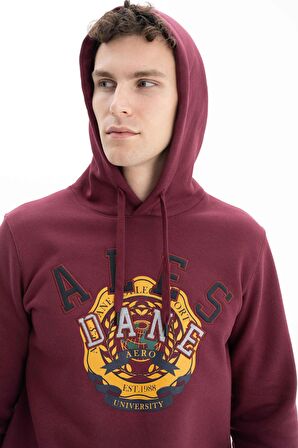 Arma Erkek Regular Fit Cepsiz Kapşonlu Sweatshirt 