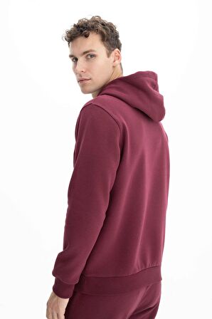 Arma Erkek Regular Fit Cepsiz Kapşonlu Sweatshirt 