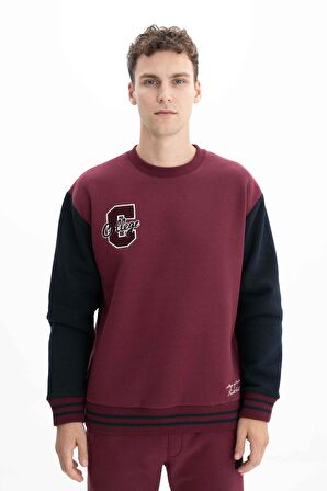 Arma Erkek Relax Fit Bisiklet Yaka Sweatshirt 