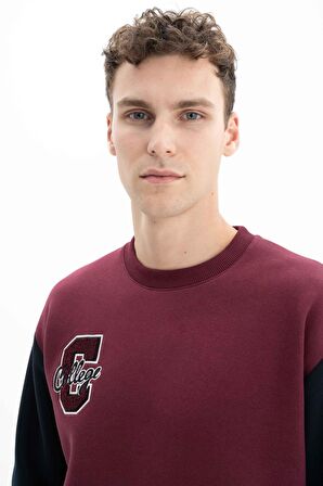 Arma Erkek Relax Fit Bisiklet Yaka Sweatshirt 