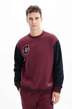 Arma Erkek Relax Fit Bisiklet Yaka Sweatshirt 