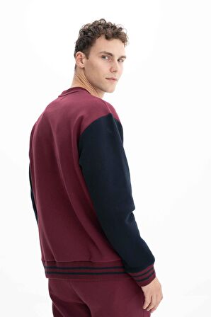 Arma Erkek Relax Fit Bisiklet Yaka Sweatshirt 