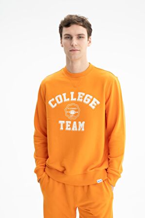 Arma Erkek Regular Fit Şardonsuz 3 İplik Bisiklet Yaka Sweatshirt 