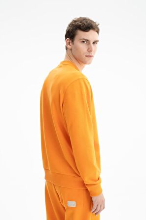 Arma Erkek Regular Fit Şardonsuz 3 İplik Bisiklet Yaka Sweatshirt 