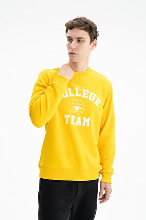 Arma Erkek Regular Fit Şardonsuz 3 İplik Bisiklet Yaka Sweatshirt 