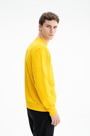 Arma Erkek Regular Fit Şardonsuz 3 İplik Bisiklet Yaka Sweatshirt 