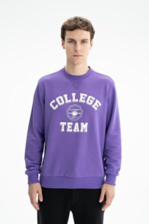 Arma Erkek Regular Fit Şardonsuz 3 İplik Bisiklet Yaka Sweatshirt 