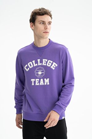 Arma Erkek Regular Fit Şardonsuz 3 İplik Bisiklet Yaka Sweatshirt 