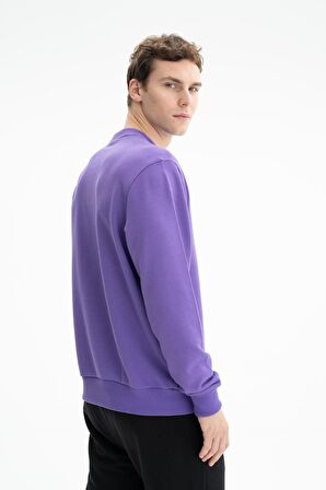 Arma Erkek Regular Fit Şardonsuz 3 İplik Bisiklet Yaka Sweatshirt 