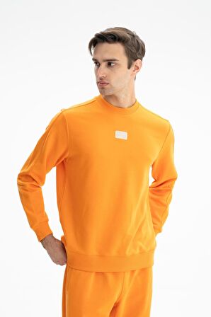 Arma Erkek Regular Fit Şardonsuz 3 İplik Bisiklet Yaka Sweatshirt 