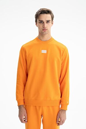 Arma Erkek Regular Fit Şardonsuz 3 İplik Bisiklet Yaka Sweatshirt 