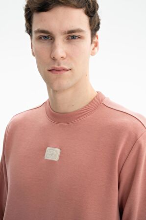 Arma Erkek Regular Fit Şardonsuz 3 İplik Bisiklet Yaka Sweatshirt 