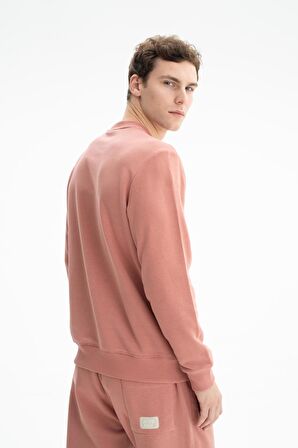 Arma Erkek Regular Fit Şardonsuz 3 İplik Bisiklet Yaka Sweatshirt 